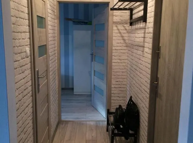 Biała Mewa Apartament Władysławowo