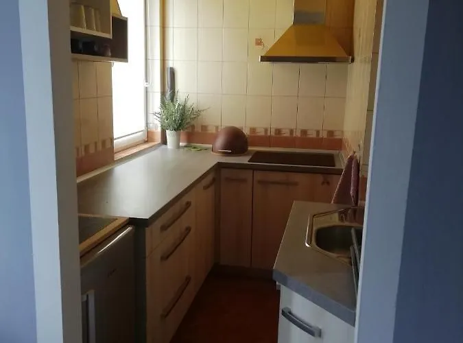 Biała Mewa Apartament Władysławowo