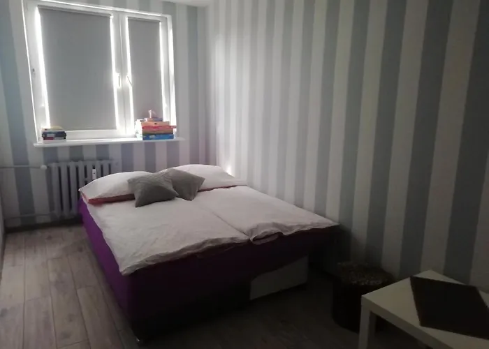 Biała Mewa